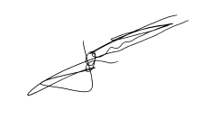 Signature Xavier GAUSSENS